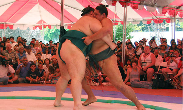 grand sumo