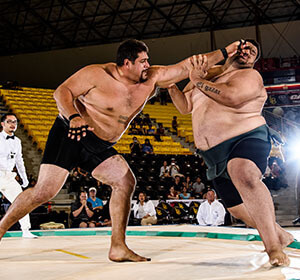 sumo, us sumo open,