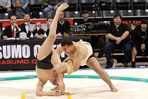 2016 US SUMO OPEN – 16th Annual