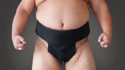 mawashi mawashi, sumo belt