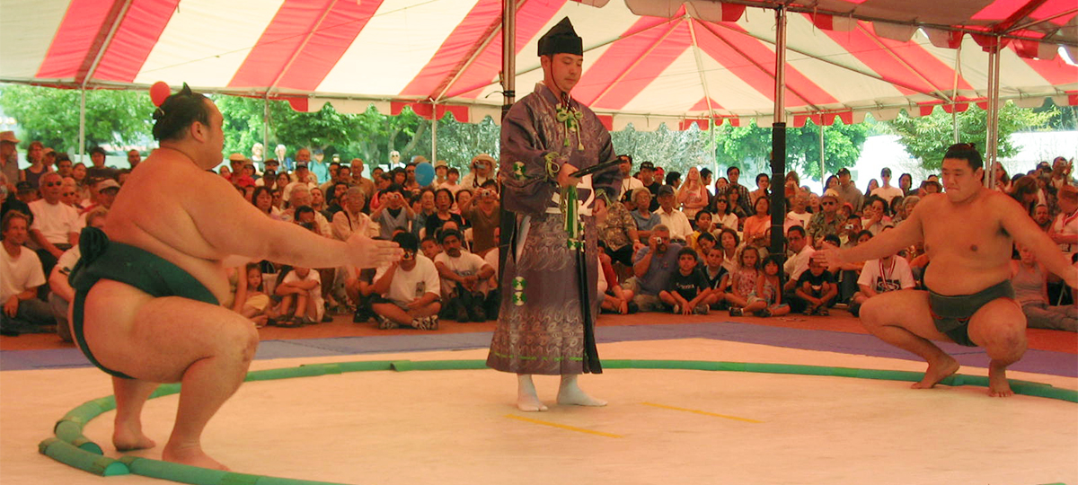 Your Source for Sumo USA SUMO