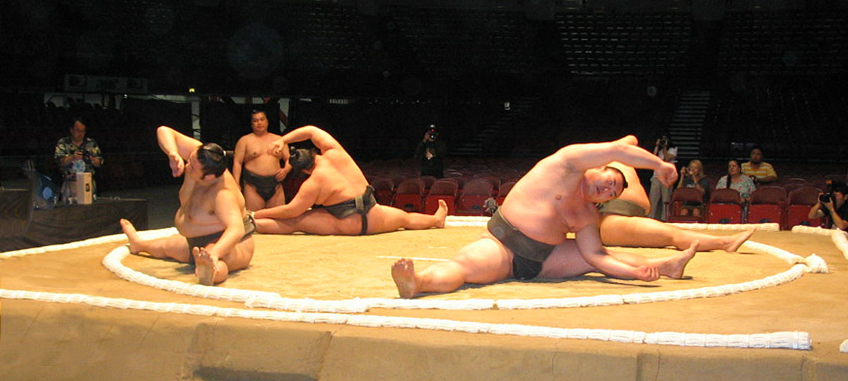 Japanese sumo