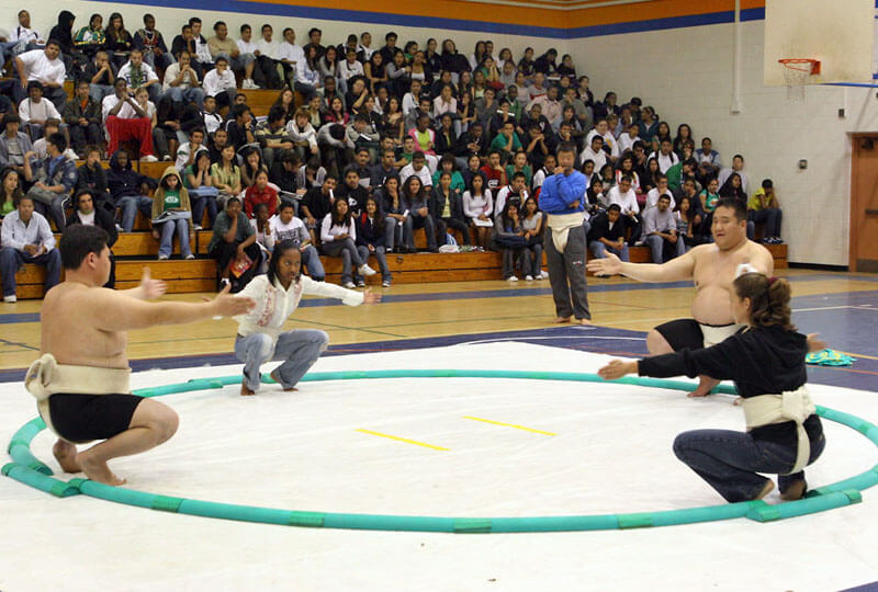 event6_800 sumo lecture