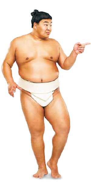 sumo model