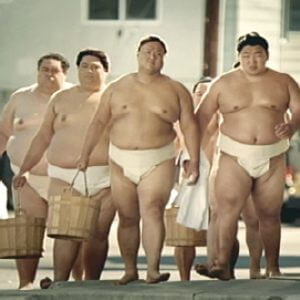 sumo models