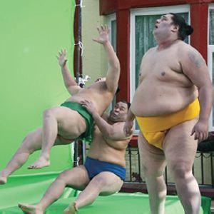 sumo models