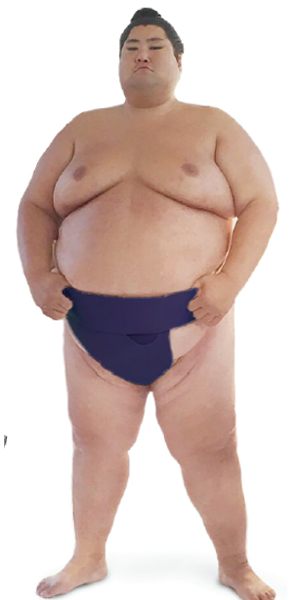 sumo model