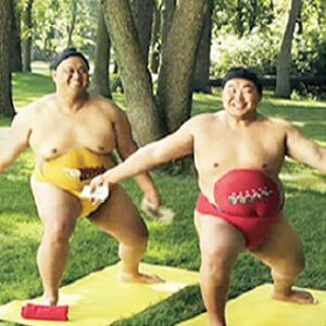 sumo model