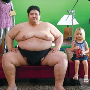 sumo models