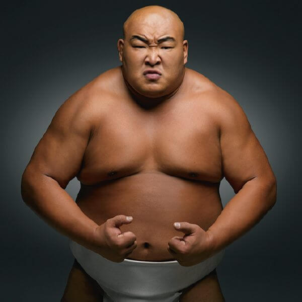 sumo model