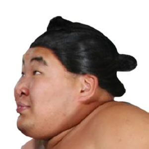 sumo wig