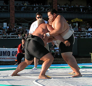 2003 Us Sumo Open