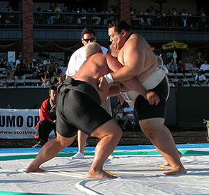 La Grande Altère Sumo Didactic - Casalou