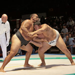 Amateur Sumo