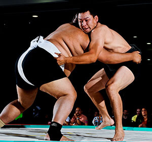 2011 Us Sumo Open