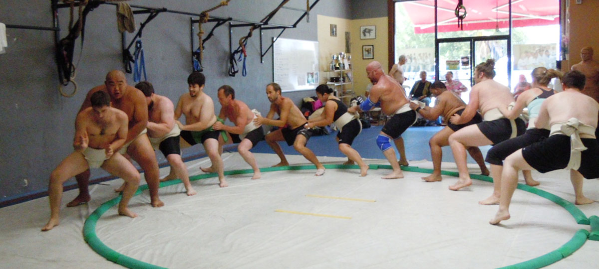 Sumo Seminar