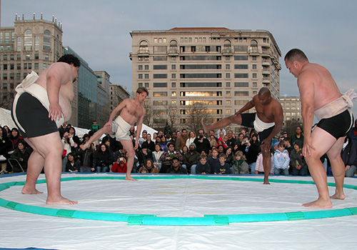 sumo event