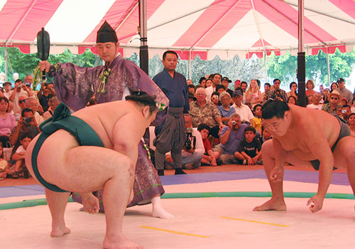 japan.grandopen sumo event