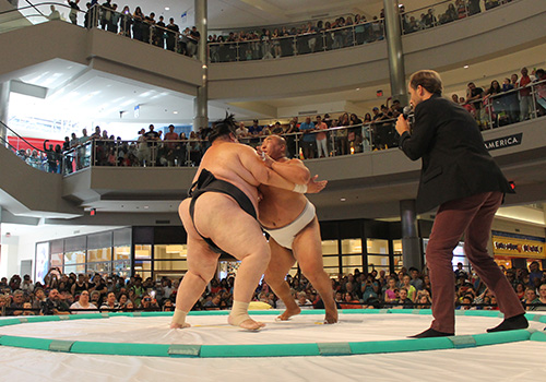 sumo event