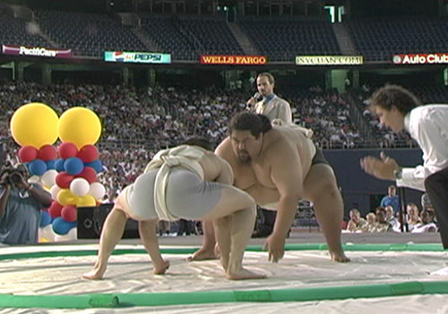 sumo event