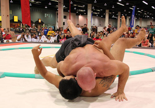 tournament.origins sumo event