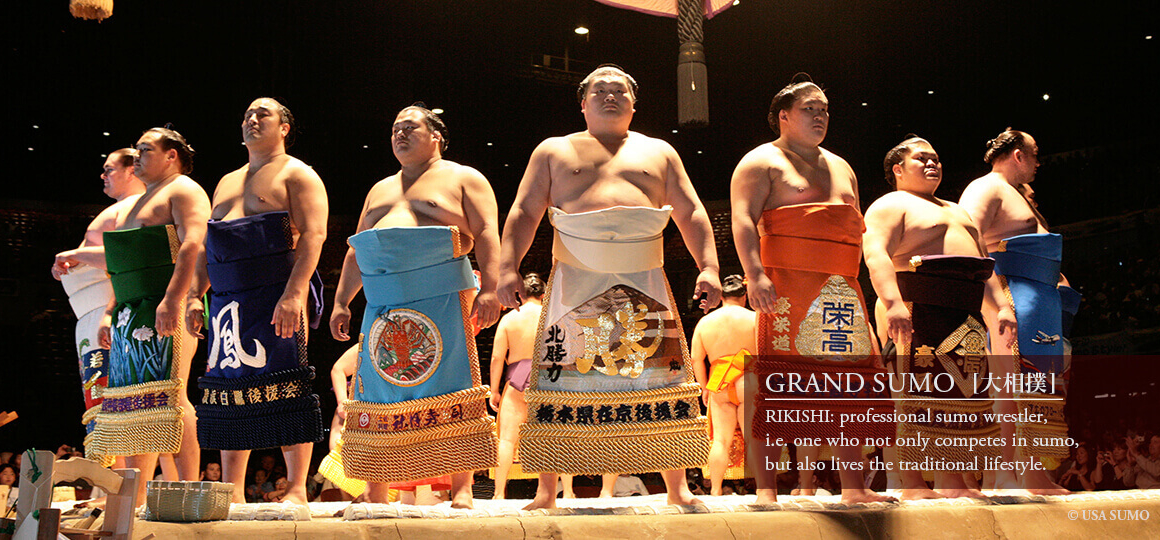 JAPANESE PRO SUMO | USA SUMO