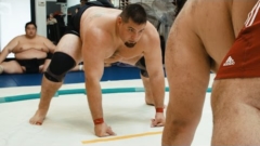 A Gentle Giant: Becoming the Great American Sumo