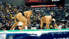 2016 US SUMO OPEN - Official Teaser