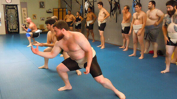 sumo classes