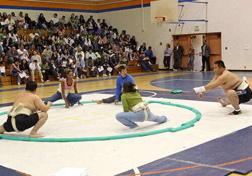 sumo demo @ university high