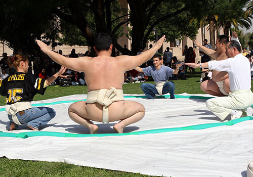 csun sumo demo