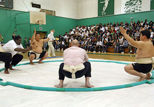 Sumo demo @ Hamilton High School