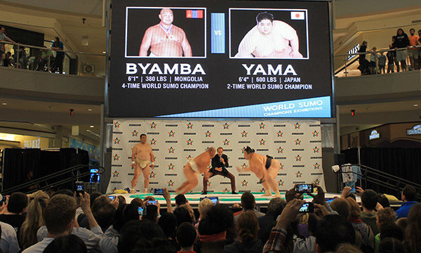 sumo Events