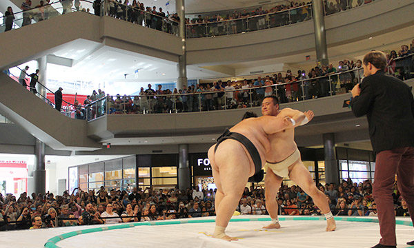 sumo events