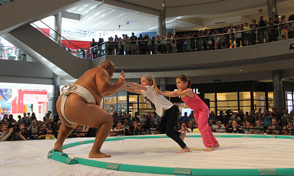 sumo events