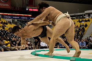 2017 US Sumo Open