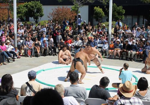 FESTIVAL SUMO DEMOS