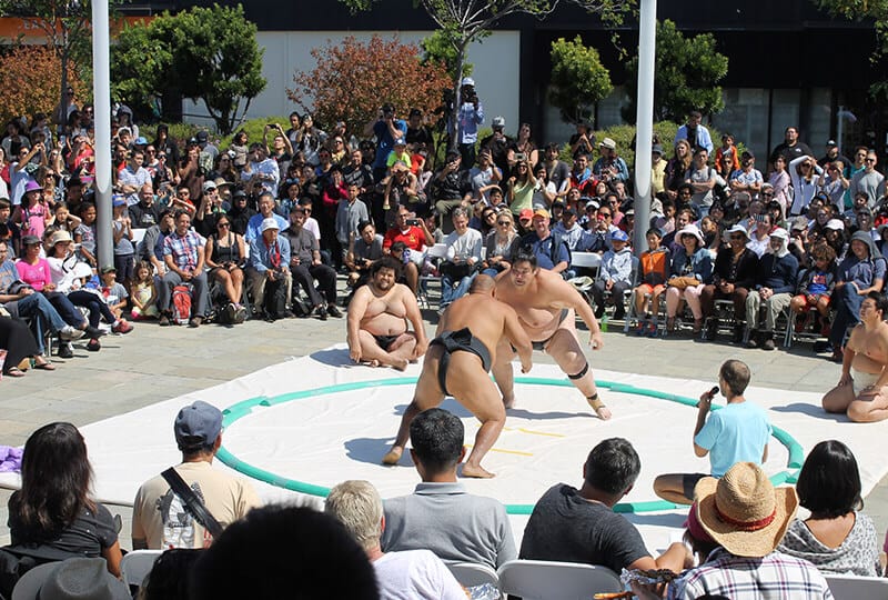 Sumo Exhibitions at Japan Center Malls