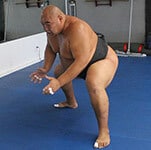 Sumo Classes