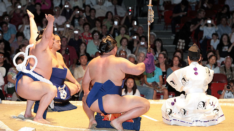 professional sumo