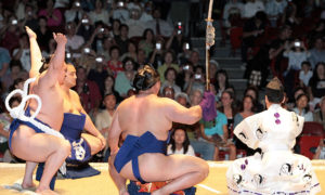 Grand Sumo