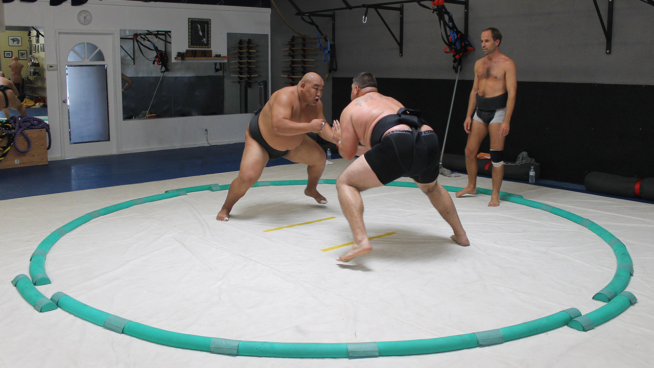 sumo rules