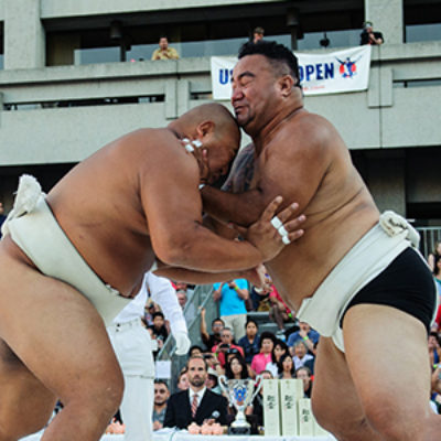 sumo techniques