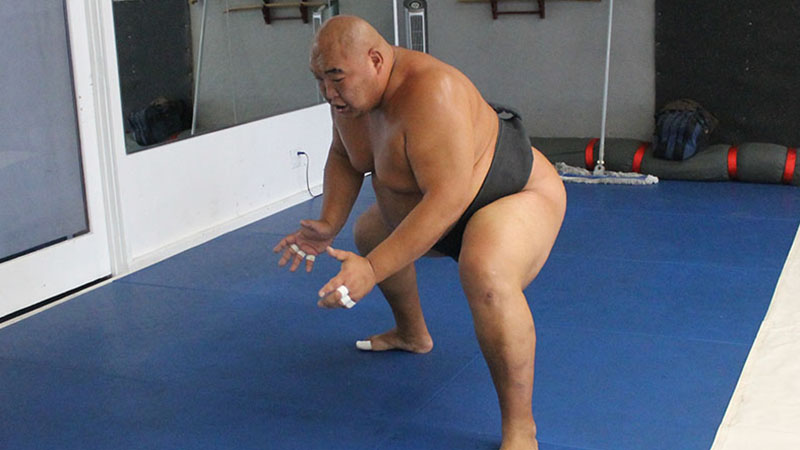 sumo training