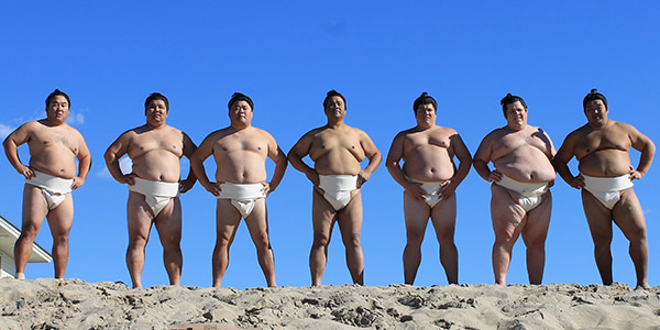 sumo models