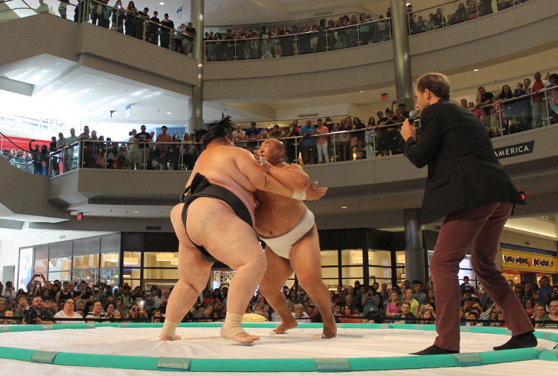 sumo specialty show