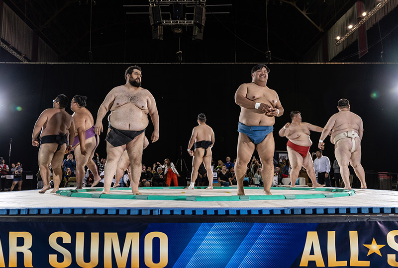 All Star Sumo All Star Sumo