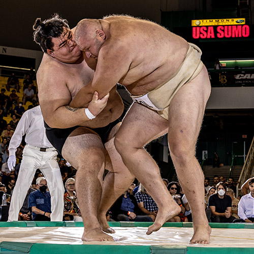 Sumo wrestling grand champion taking talents to CSU Rams football team