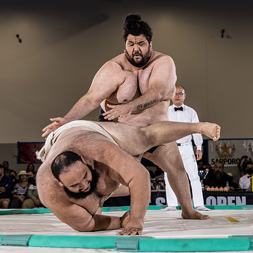 sumo2022.3 sumo2022.3