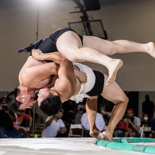 sumo2022.5 sumo2022.5